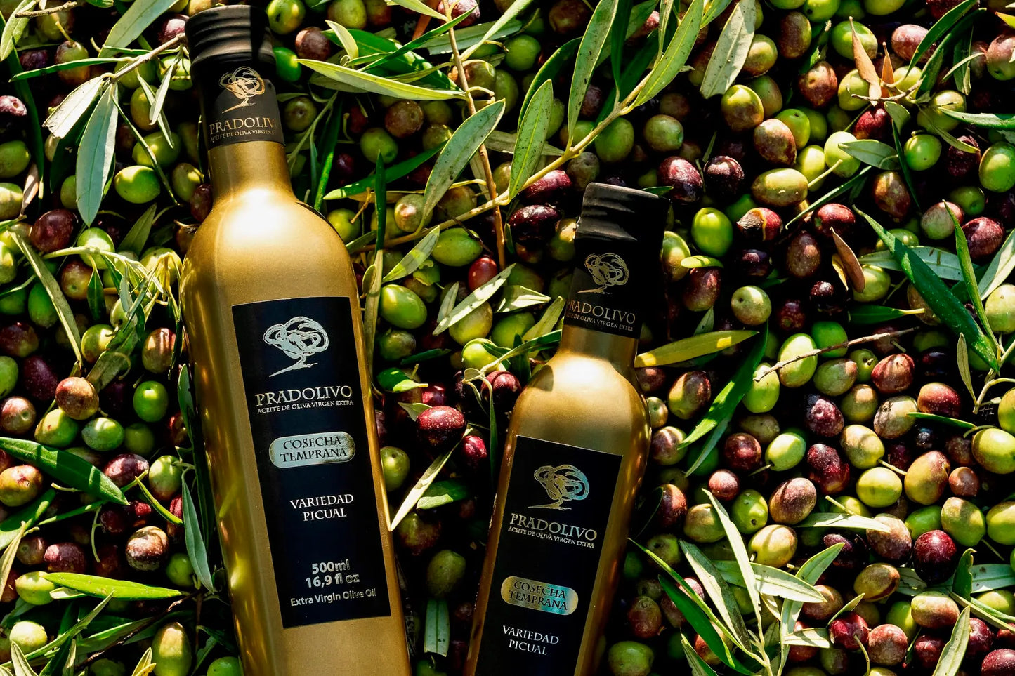 Aceite de Oliva Virgen Extra Picual de Jaén Pradolivo