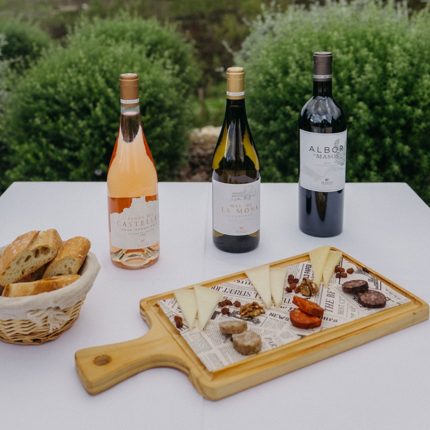 🍷 Experiencia Gourmet: Cata de Vinos Especiales & Aperitivo Ibérico Premium