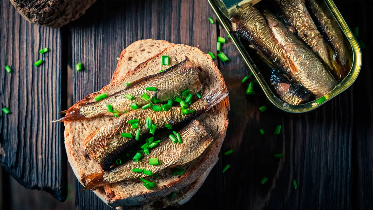 Conservas Sardinillas en Aceite de Oliva Virgen Extra Contrabando da Ría