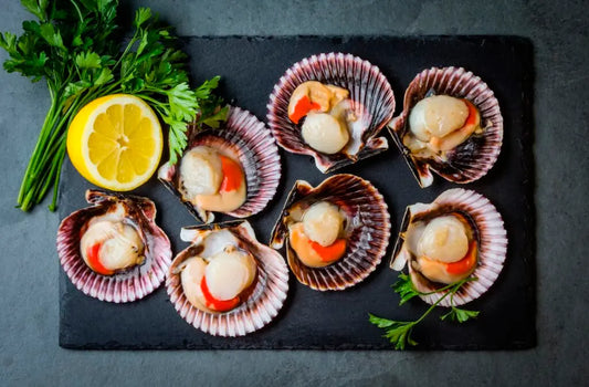 Conservas de Zamburiñas en Salsa de Vieira Contrabando da Ría