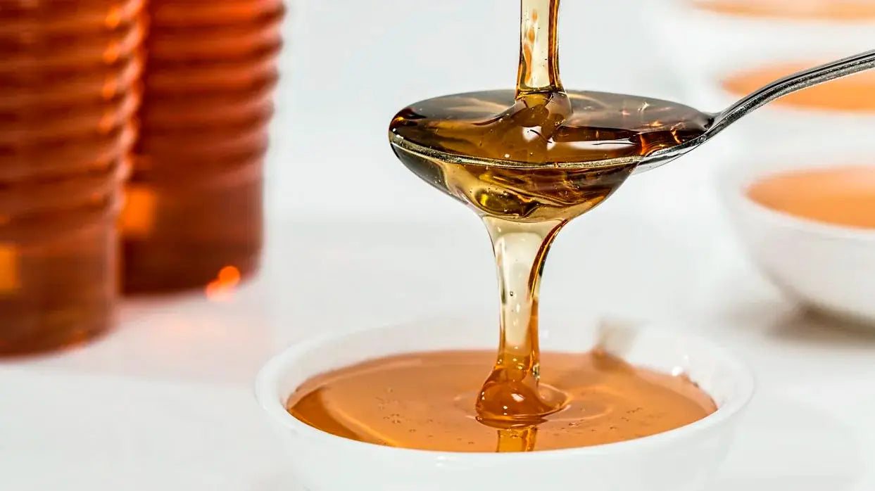 Miel de Abeja Ecológica de Castaño Gallega Mel Rurá