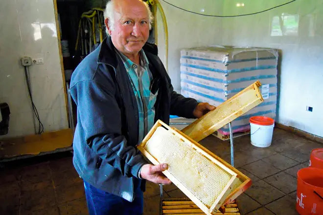 Miel de Abeja Ecológica de Castaño Gallega Mel Rurá