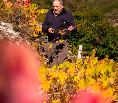 Proencia Barrica - D.O. Ribeira Sacra Bodegas Proencia