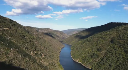 Proencia Barrica - D.O. Ribeira Sacra